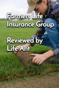 Farmers Insurance Group Life Insurance Rating